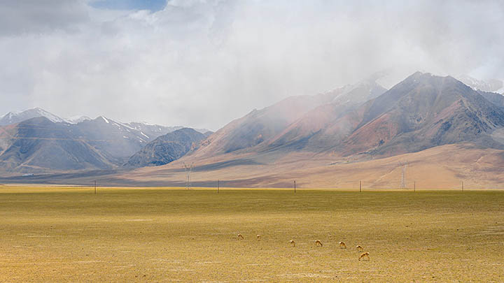 搜狗输入法怎么下载？全平台官方资源获取方式解析 二