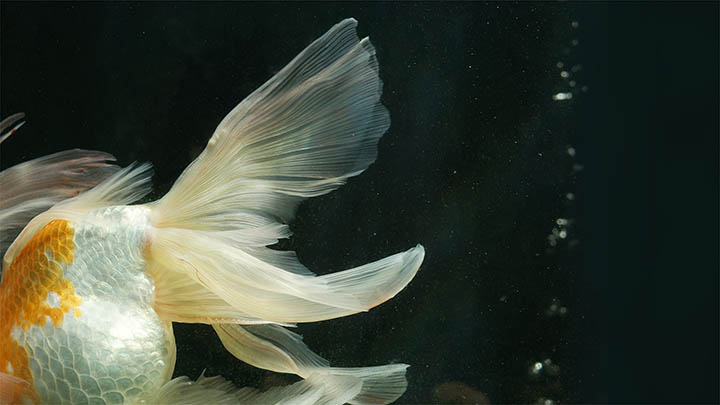 搜狗输入法下载教程:电脑端安装秒懂全攻略 搜狗输入法下载教程:电脑端安装秒懂全攻略 二