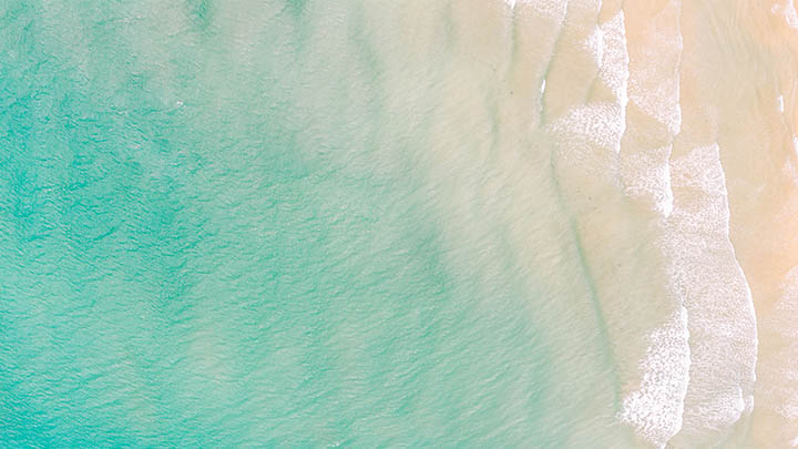 搜狗输入法皮肤怎么下载?官方教程教你快速更换专属主题 搜狗输入法皮肤怎么下载?官方教程教你快速更换专属主题 二