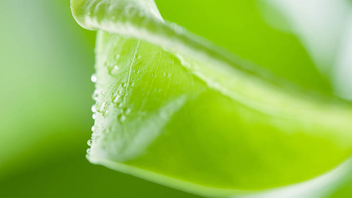 5s怎么下载搜狗输入法?超全下载攻略与安装提速技巧 5s怎么下载搜狗输入法?超全下载攻略与安装提速技巧 二