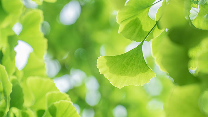 搜狗输入法下载出错?官方解决3招教你搞定 搜狗输入法下载出错?官方解决3招教你搞定 二