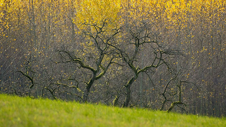 搜狗输入法驱动下载安装：免注册快速获取指南 二