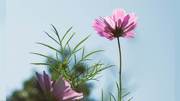 下架的搜狗输入法获取指南：快速重现经典键盘体验的4种方法 二