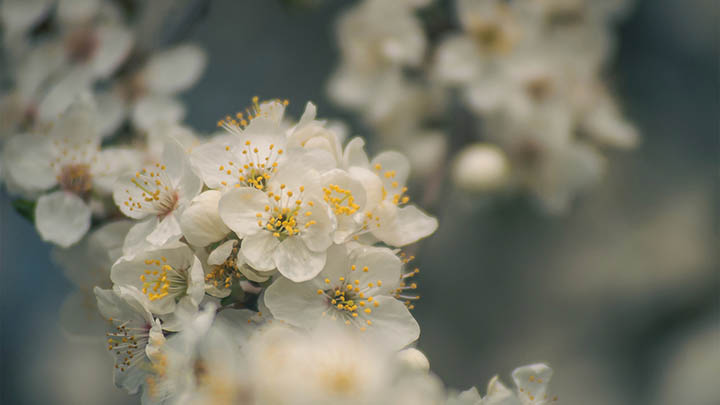 搜狗输入法无法下载?教你快速获取正版安装包 搜狗输入法无法下载?教你快速获取正版安装包 二