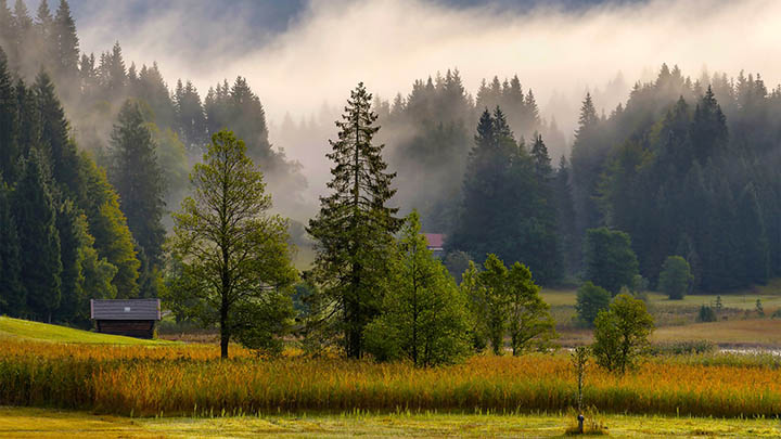 搜狗输入法下载怎么关：快速定位设置关闭入口无烦恼秘诀 二