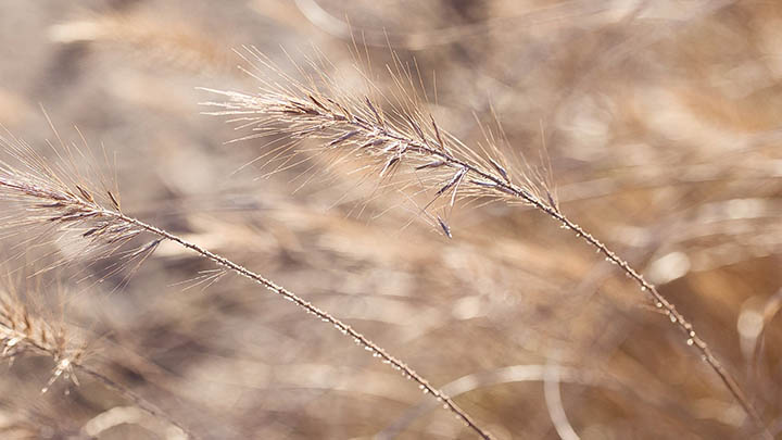 搜狗输入法下载指南：新手轻松上手与实用安装详细步骤 二