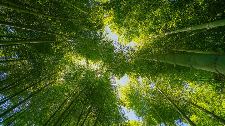 日本搜狗输入法下载指南：实用在线获取方法详解 二