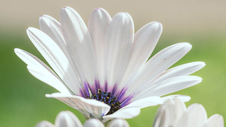 搜狗输入法怎么下载迅雷？官方教程带你轻松搞定！ 二