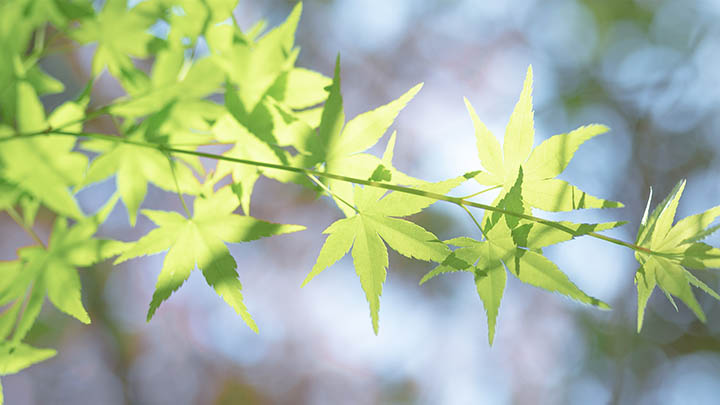 搜狗输入法下载全攻略：网络快速安装教程详解 二