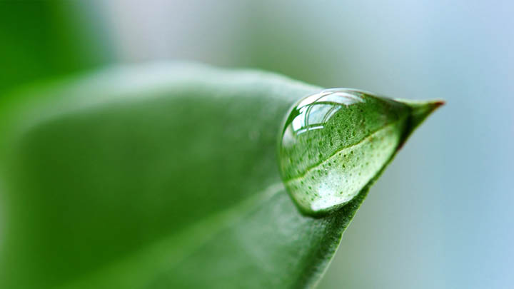 现在怎么下载搜狗输入法?官方正版多设备安装教程解析 现在怎么下载搜狗输入法?官方正版多设备安装教程解析 二