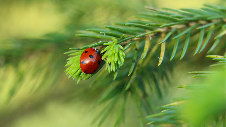 网页搜狗输入法怎么下载？快速搞定安装教程！ 二