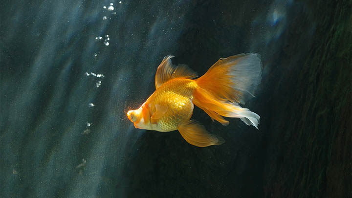 搜狗输入法QQ版下载指南：全面解析获取流程与安装技巧 二