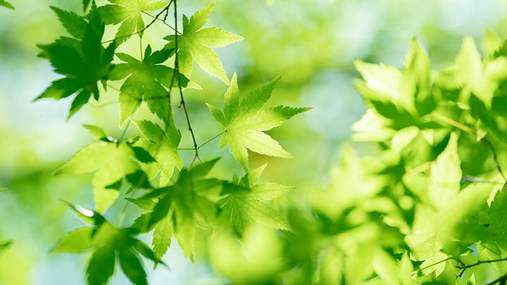 金山搜狗输入法怎么下载？官方安装包获取与极速下载技巧解析 二