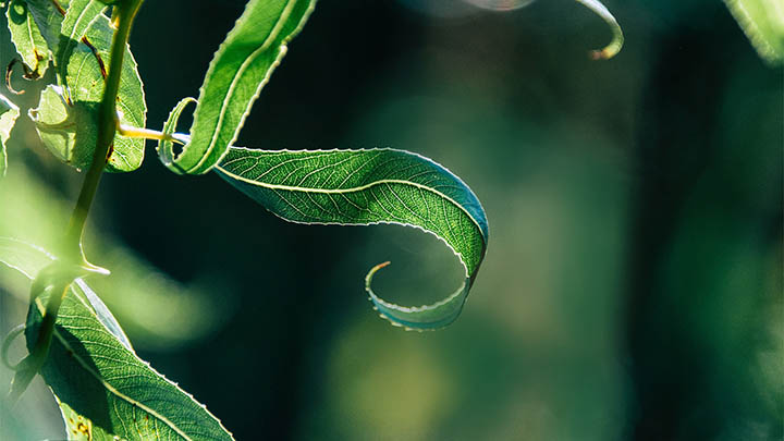 智能搜狗输入法怎么下载?官方正版安装教程详解 智能搜狗输入法怎么下载?官方正版安装教程详解 二