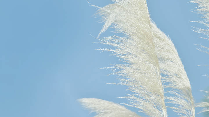 vivo怎么下载搜狗输入法?官方正版下载链接与快速安装教程解析 vivo怎么下载搜狗输入法?官方正版下载链接与快速安装教程解析 二