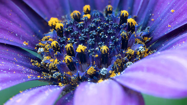 苹果手机安装搜狗输入法失败?试试这两个下载方法 苹果手机安装搜狗输入法失败?试试这两个下载方法 二