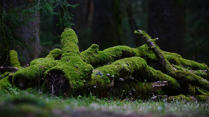 搜狗输入法怎么下载音效?3种简单方式轻松搞定 搜狗输入法怎么下载音效?3种简单方式轻松搞定 二