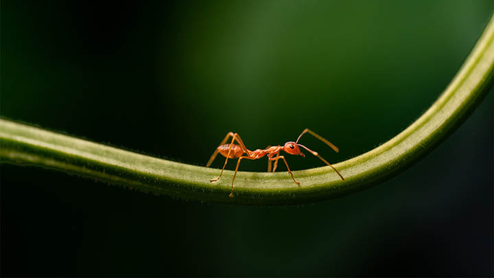 b搜狗输入法怎么下载？官方正版全平台安装教程详解 二