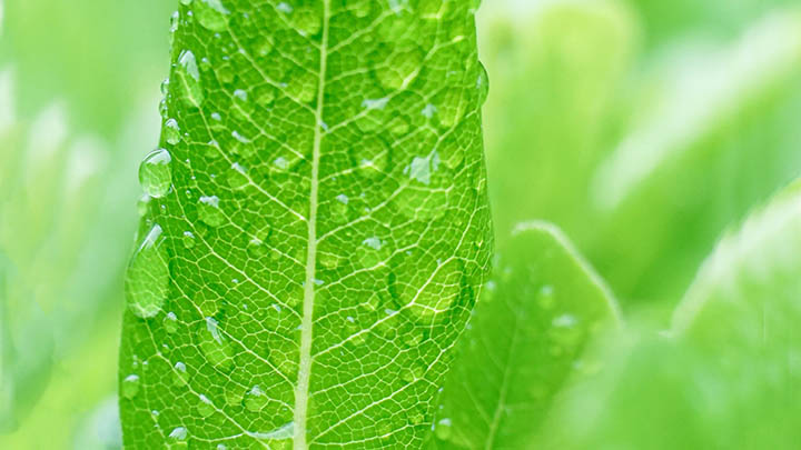 搜狗输入法下载难？官网资源直链与离线包设置详解 二