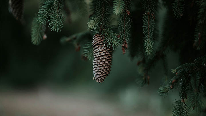 电脑输入法搜狗怎么下载？官方下载安装包与极速优化技巧 二