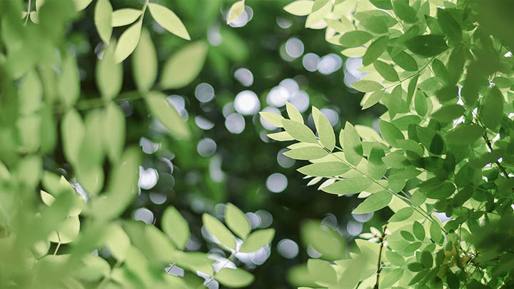 搜狗输入法下载难？官方安全通道与多平台快捷安装指南 二