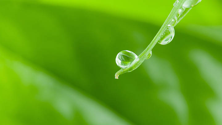 搜狗输入法怎么下载好看：三步设置字体样式优化教程 二