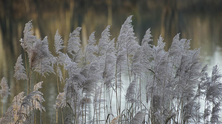 搜狗输入法韩语包下载:官方教程教你3步轻松安装 搜狗输入法韩语包下载:官方教程教你3步轻松安装 二